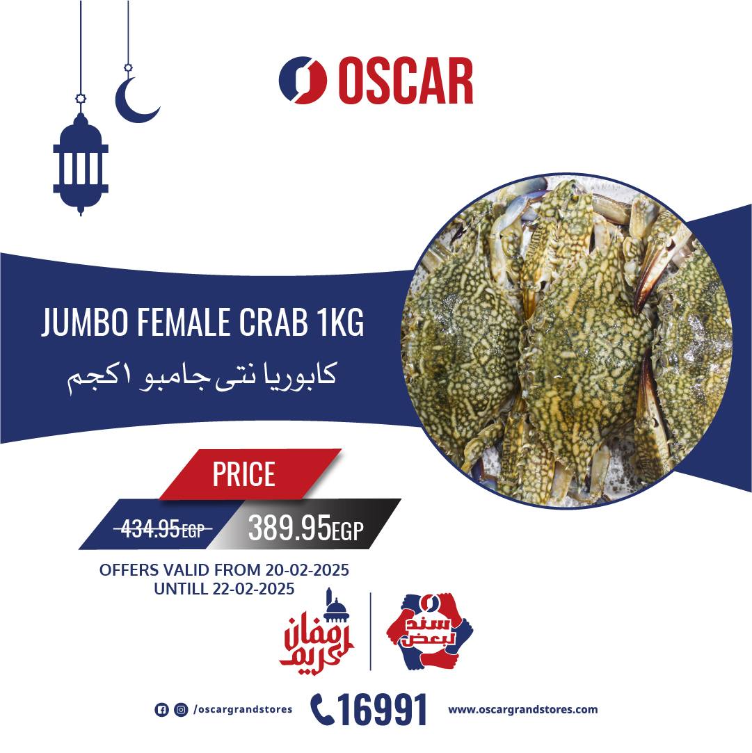 oscar offers from 20feb to 22feb 2025 عروض أوسكار من 20 فبراير حتى 22 فبراير 2025 صفحة رقم 7